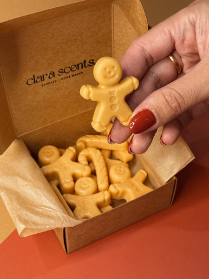 BOX - QUEIMADOR & WAX MELTS